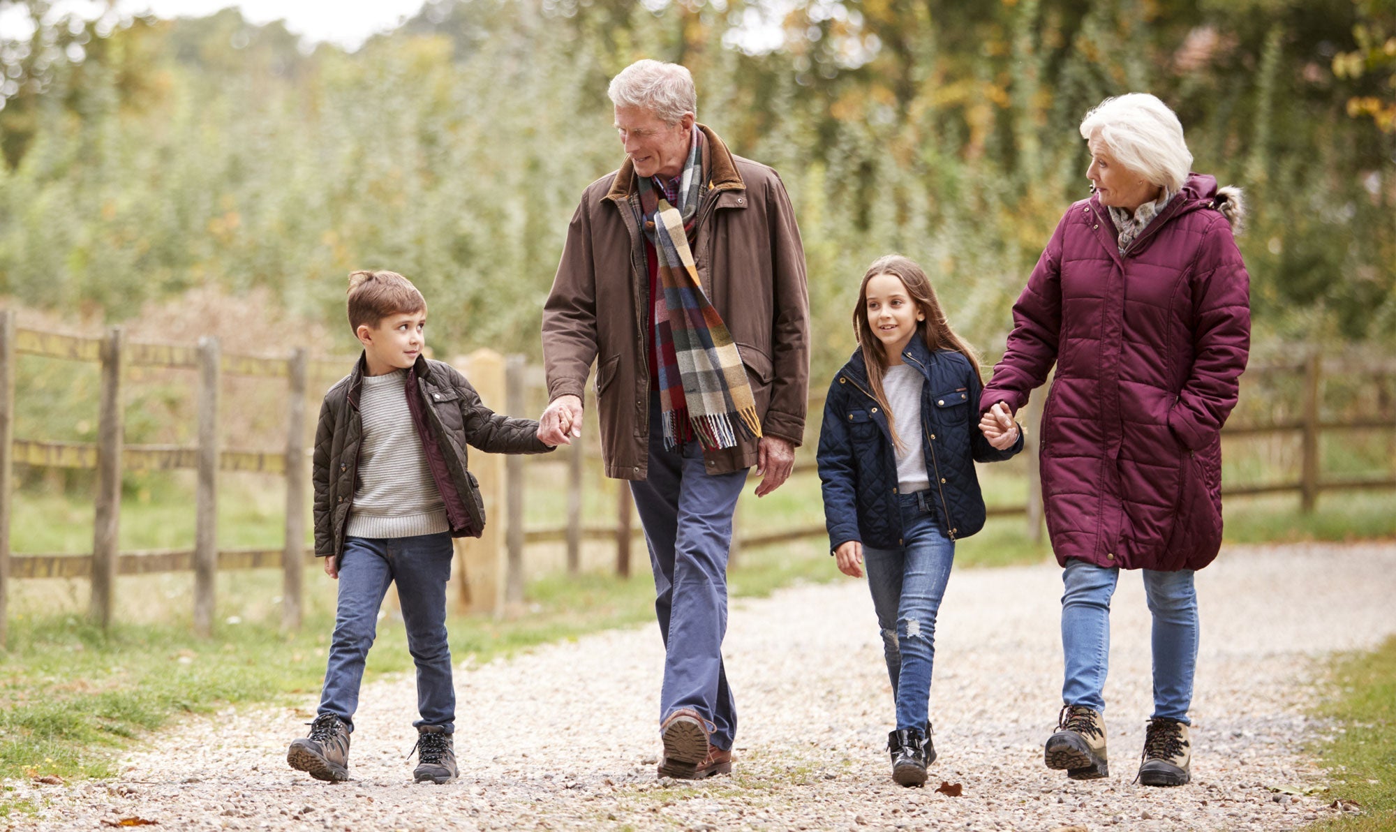 Symptoms to Look For After a Fall in the Elderly