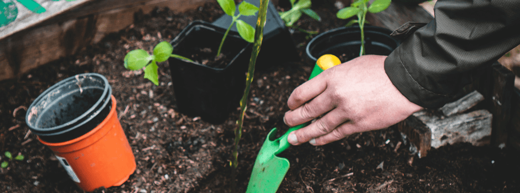 5 Gardening Tools for the Elderly