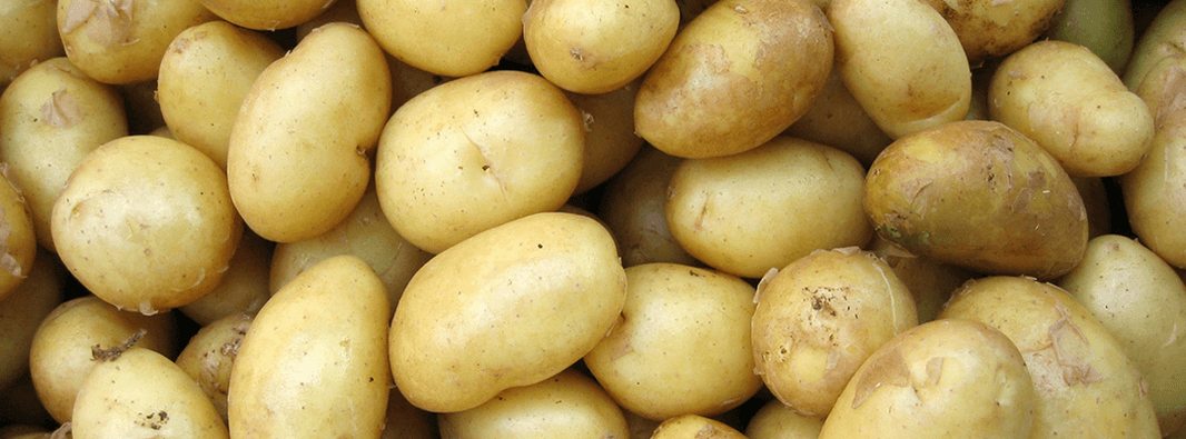 It’s National Potato Day!