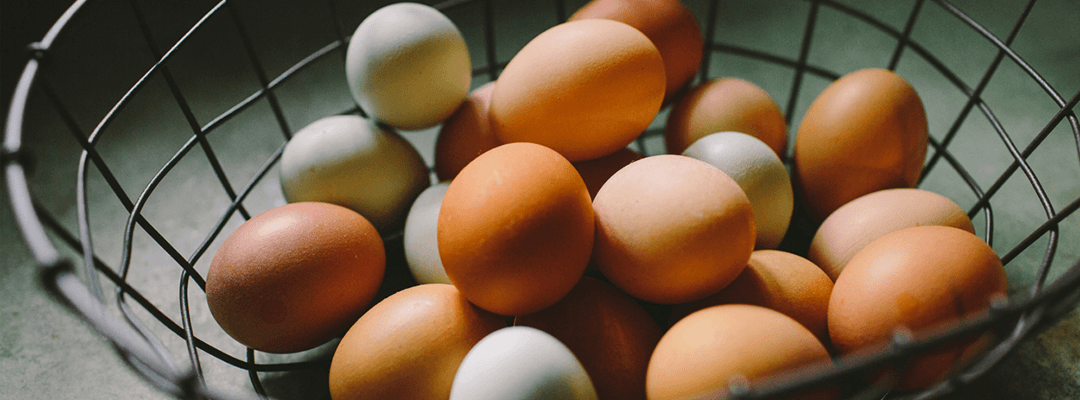 News: Eggs Declared Safe For Elderly 30 Years After Salmonella Scare