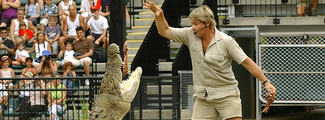 Remembering Steve Irwin