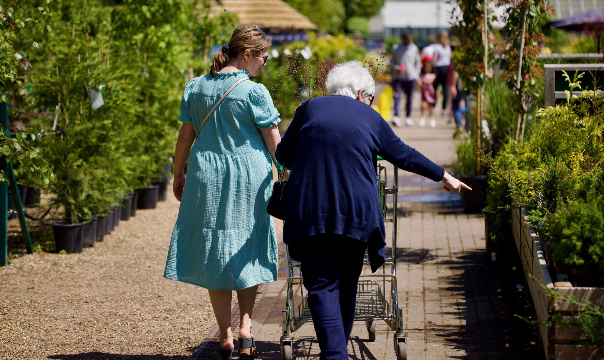 Elderly Deterioration After a Fall